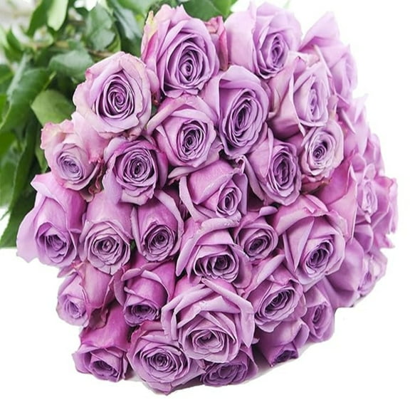 KaBloom :50 Purple Roses, Next-Day Delivery, Gift for Every Occasion.