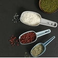 3 Ice Buffet Candy Kitchen Shovel Nut Pet Food Flour - Walmart.com