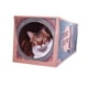 thumbnail image 5 of Túnel para gatitos ANGGREK juguete Plegable para Túneles de Gatos Multiusos 22x22x61cm, 5 of 8