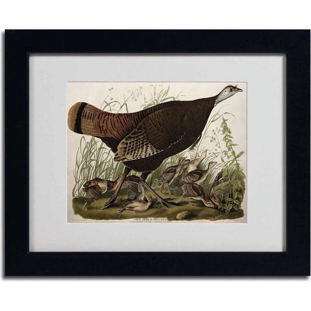 Trademark Fine Art "Great American Hen and Young" Canvas Art by John James Audubon, Black Frame
