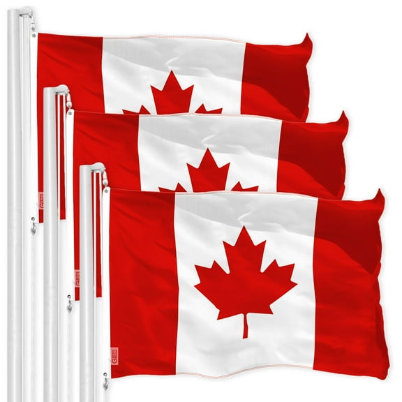 Canada Canadian Flag 3x5FT 3-Pack 150D Printed Polyester By G128