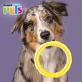 thumbnail image 2 of Juguete para perro Fancy Pets  Masticable Aro Chico, 2 of 2