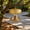 Orange, variant on Bird Feeder Rain Guard Dome Cover Hanging Bird Feeder Protector Weather Proof Shield Squirrel Resistant Baffle Dome for Outdoor Tube Tray Bird Feeders Durable Transparent Garden Bird Accessory