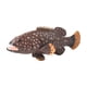 thumbnail image 2 of Juguete educativo con forma de animal marino simulado. Juguete cognitivo realista para niños. Mero marrón oscuro, 2 of 9