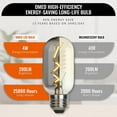 thumbnail image 2 of OMED Fishbone LED Filament Dimmable Vintage Edison Light Bulbs, T45/T14 E26 4W Antique Tubular Edison Bulbs 40 Watt Equal, 200LM 2700K SOFE White Spiral Retro Tube Bulbs, Smoke Grey Glass, 6 Pack, 2 of 8