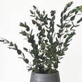 thumbnail image 2 of 3.53oz Dried Leaf Multipurpose Natural Eucalyptus Faux Flower Photo Prop, 2 of 6