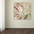 thumbnail image 4 of Trademark Fine Art "Peppermint Tulips I" Canvas Art by Color Bakery, 4 of 4