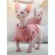 thumbnail image 3 of Sphynx Camisa para gatos sin pelo, suéter de gatito, camisetas con mangas, ropa de gato transpirable con cuello alto, ropa linda para gatos sin pelo, chaleco, pijama, mono para todas las estaciones (XL) ER, 3 of 5