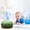 A, variant on CSSAD Watermelon Shaped Pillow Toys, Simulation Fruit Model Decorative Ornaments for Home and Office, Creative Gifts for Boys and Girls