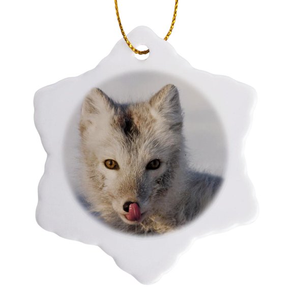 3drose, Alaska, 1002 Coastal Plain, Anwr, Arctic Fox - Us02 Ska4901 - Steve Kazlowski, 3 inch Snowflake Porcelain Ornament