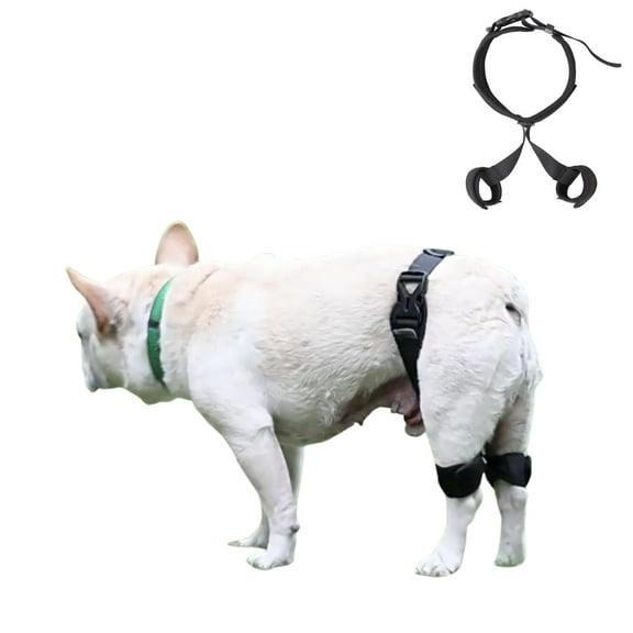 Dog Knee Brace For Support With Cruciate Ligament Injury, Joint Pain And Muscle Sore, Better Recovery Brace, Adjustable Rear Leg Braces Dogs S
