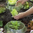 thumbnail image 4 of 6pcs Vegetable Slug Protection Covers - Plant Snail Collar Guard For Garden, 4 of 5