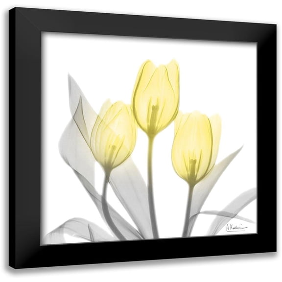 Koetsier, Albert 12x12 Black Modern Framed Museum Art Print Titled - Brilliant Tulips 1