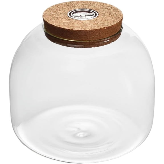 ABPETE Glass Terrarium Jar Container Succulent Plant Terrarium Ecological Bottle with Cork Lid for Succulent Fern Moss Air Plants Display