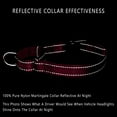 thumbnail image 3 of Plutus Pet Reflective Martingale Collar with Quick Snap Buckle, 3 of 6
