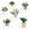 Clear 6pack, variant on XIMEI 10-Pack Acrylic Floating Shelves for Wall, Adhesive Display Shelf for Plants/Funko Pop, Clear