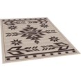 thumbnail image 4 of Handcraft Rugs Indoor/Outdoor area Rug with Traditional Southwestern Design Beige and Chocolate Color. (7 ft. by 10 ft.), 4 of 4