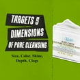 Rare Earth Deep Pore Cleansing Mask, PoreMinimizing Face Mask for Clogged Pores, Detoxifies