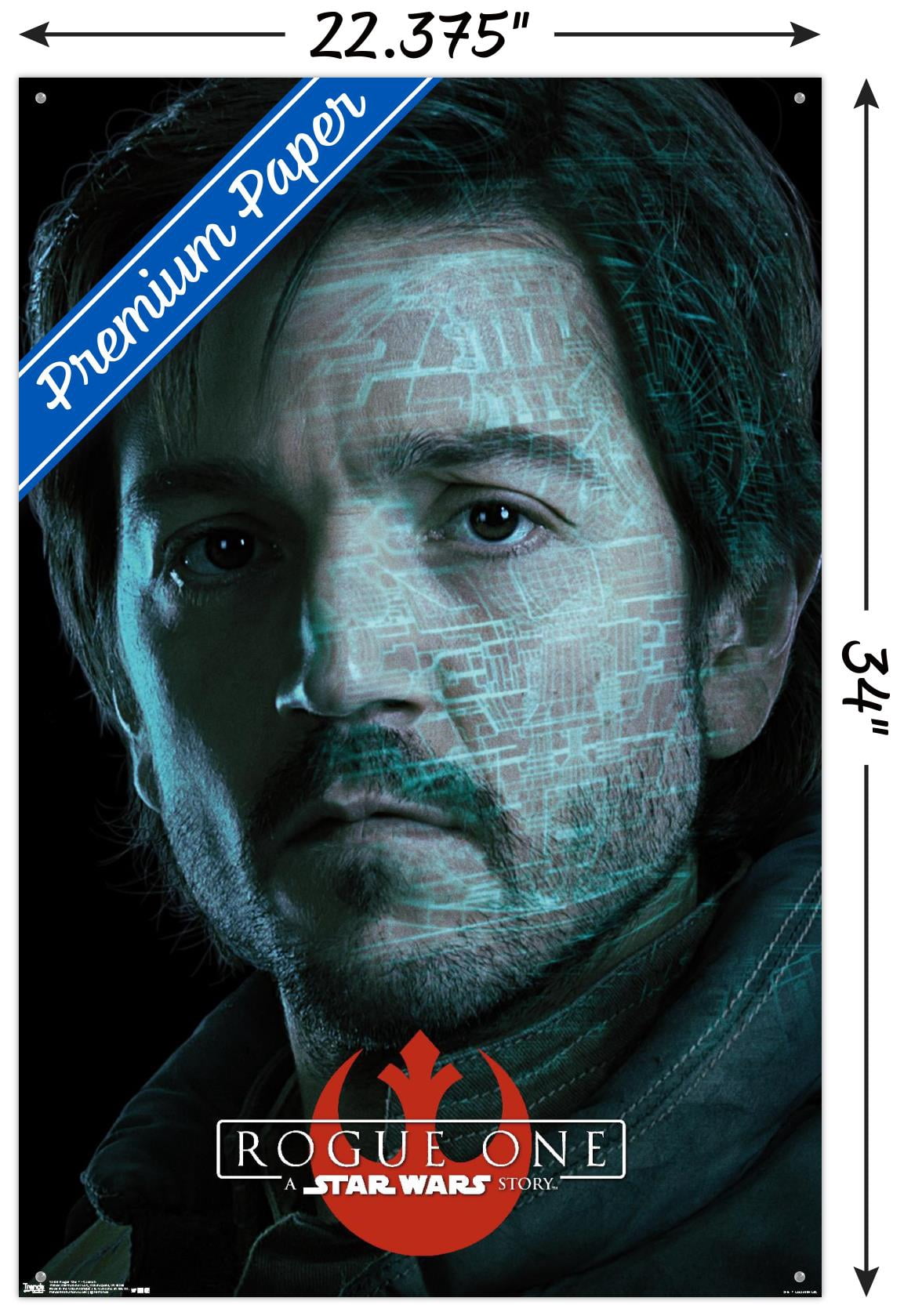 Star Wars: Rogue One - Cassian Wall Poster with Push Pins, 22.375" x 34"