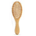 thumbnail image 1 of Cepillo de pelo antiestático para salón de belleza, cepillo para el pelo para mujer, portátil, ligero, ducha de viaje, cepillado para desenredar en seco y húmedo, 1 of 5