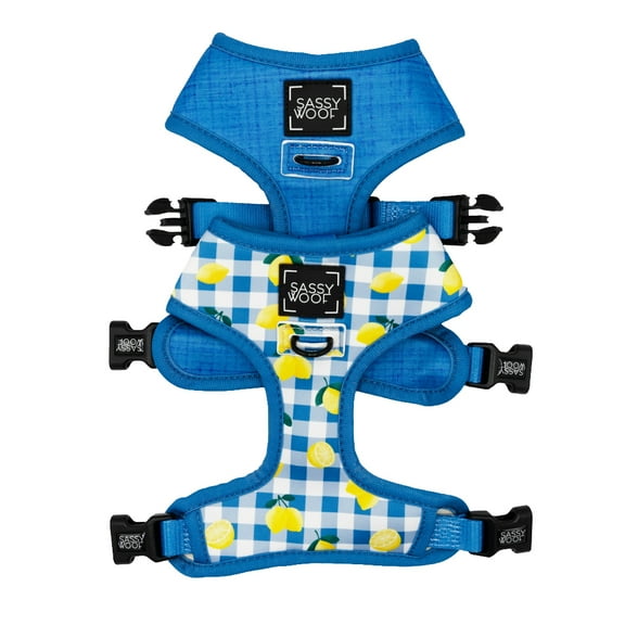 Sassy Woof Comfort Dual-Clip Reversible Dog Harness - Lemonade Stand, Medium