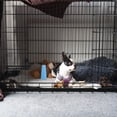 thumbnail image 4 of CTIRCHIU Outdoor Pet Training Dog Peeing Post Sky Blue 1Pcs Plastic Design, 4 of 8