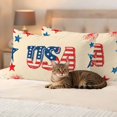 thumbnail image 3 of Independence Day Pillow Covers 2 Pack Retro 4th of July American Flag Red Blue Star Firework Pillowcase Waterproof Outdoor Throw Pillow Cover for Patio Balcony Rectangular Cushion 20”x12”, 3 of 9