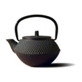 thumbnail image 1 of Matte Black Cast Iron Tokyo Teapot 11 Oz, 1 of 1