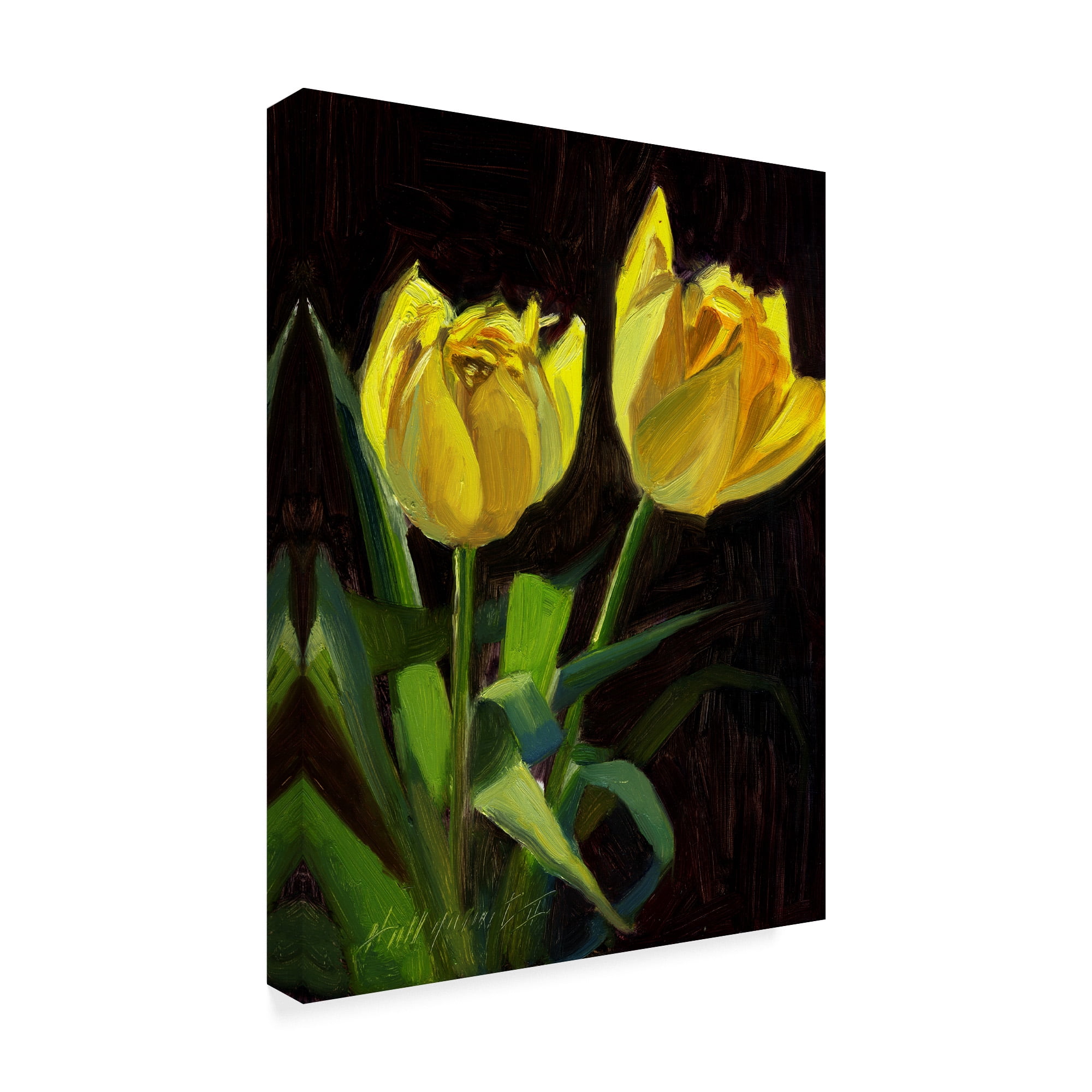 Trademark Fine Art 'Yellow Tulips Black' Canvas Art by Hall Groat Ii