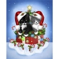 thumbnail image 1 of Diamond Painting (DE7992) 5D DIY Square Christmas Cat Animal Home Decor 50x70cm Hugtrwg Para estrenar, 1 of 1
