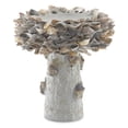 thumbnail image 1 of Currey & Company 1200-0052 Bain d'Oiseaux Extérieur, Rond 13,5 Pouces, Fini Naturel, 1 of 2