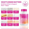 thumbnail image 2 of Pink Stork Prenatal Probiotics for Pregnancy, Digestive and Immune Support with Prebiotics & B6, 30 Servings, 2 of 10