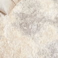thumbnail image 6 of SAFAVIEH Cloud Rachelle Distressed Polyester Shag Area Rug, Ivory/Gray, 5'3" x 7'7", 6 of 7