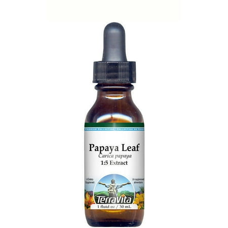 Papaya Leaf Glycerite Liquid Extract (1:5) - No Flavor (1 oz, ZIN: