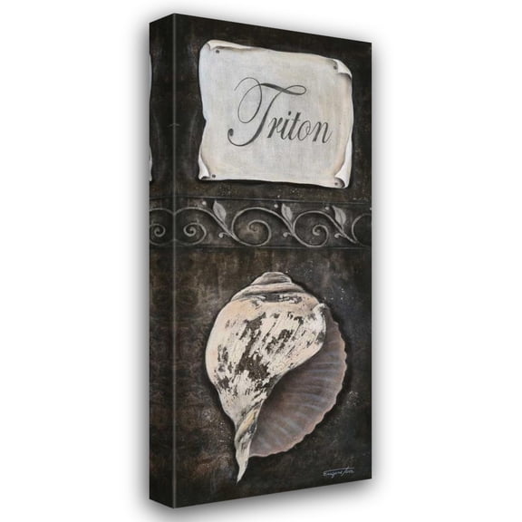 Tava Studios 18x40 Gallery Wrapped Canvas Wall Art Titled - Triton