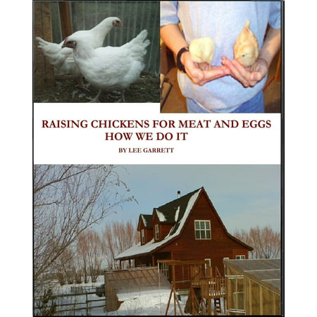 Raising Chickens For Meat and Eggs: How We Do It -