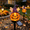 A4 Lantern, variant on Christmas Yard Decorations Outdoor Santa Gnome Stake Light with Glowing Lantern | Lighted Christmas Decorations for Garden, Patio, Lawn and Front Door