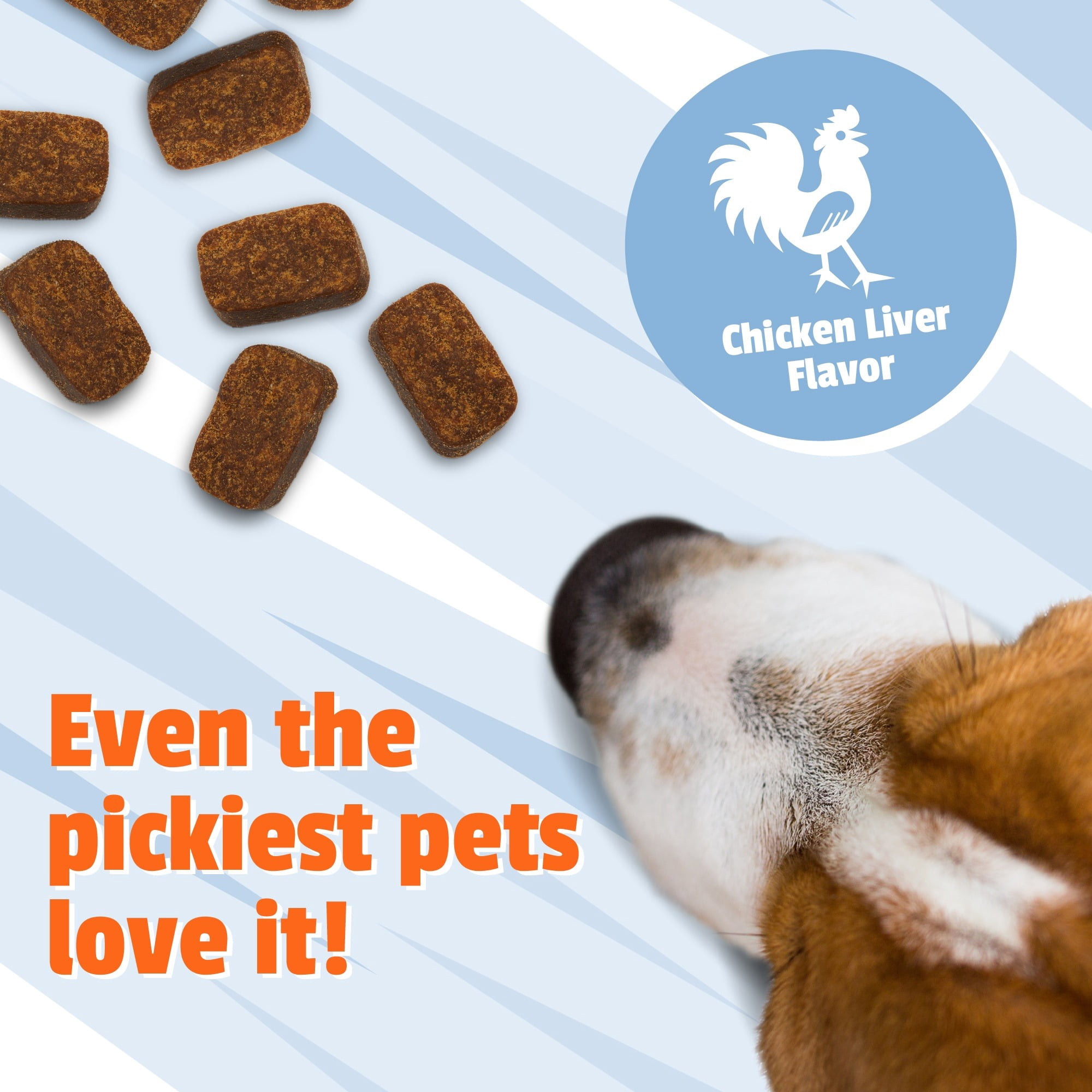 (3 pack) Pet Naturals Calming for Dogs, Anxiety Support Supplement, 90 Bite-Sized Chews