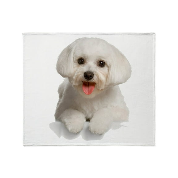 CafePress - Bichon Frise Throw Blanket - Soft Fleece Throw Blanket, 50"x60" for All Ages