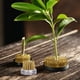 thumbnail image 4 of Atyhao Flower Kenzan, Conjunto de Herramientas de fijación de decoración de arreglos Florales Ikebana Kenzan Japanese Flower Holder Kenzan Flower Frog para arreglos Florales Ecomeon no, 4 of 6