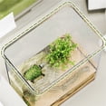 thumbnail image 4 of Living room turtle feeding box household transparent small office desktop, 4 of 7