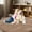 Beige, variant on Small Rug Throw Rugs for Bedroom, Mini Area Rug, Fluffy Grey Carpet, Affordable Door Entryway Indoor Inside Front Entrance Dog 2x3 Mat, Home Decor Aesthetic(2 x 3, Dark Grey)