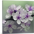 thumbnail image 1 of ARTCANVAS Spring Blossom Flower Square Canvas Art Print - Size: 12" x 12" (0.75" Deep), 1 of 9
