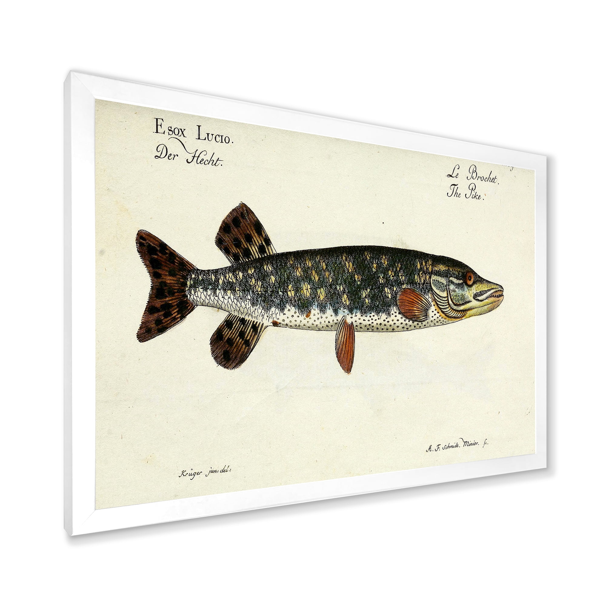 Designart 'Portrait Of A Green Fish On Beige' Nautical & Coastal Framed Art Print