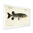 thumbnail image 2 of Designart 'Portrait Of A Green Fish On Beige' Nautical & Coastal Framed Art Print, 2 of 4
