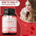 thumbnail image 6 of Kidney Support - with Cranberry, Astragals - Kidney Detox and Bladder Cleanse - 120 Capsules, 6 of 9