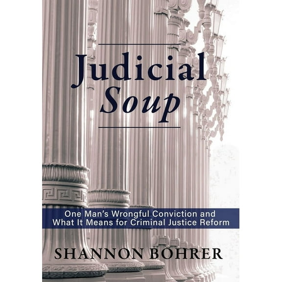 Judicial Soup (Paperback)