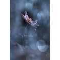 thumbnail image 2 of BRAVIN, Fabien 13x18 White Modern Wood Framed Museum Art Print Titled - Dancing In The Dark, 2 of 4