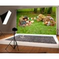 thumbnail image 1 of BSDHOME 7x5t Photography Backdrop Rural Green Grass Pumpkin Autumn Harvest Scene Halloween Photo Background Backdrops, 1 of 4