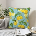 thumbnail image 6 of Kll Lemon Decorative Throw Pillow Covers Velvet Soft For Couch Sofa Bedroom Living Room Outdoor -20"X20", 6 of 8